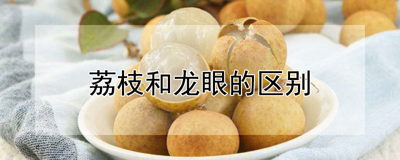 荔枝和龍眼的區(qū)別