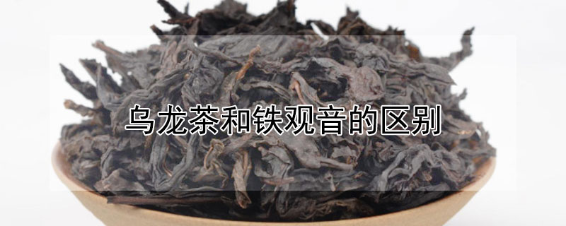 烏龍茶和鐵觀音的區(qū)別