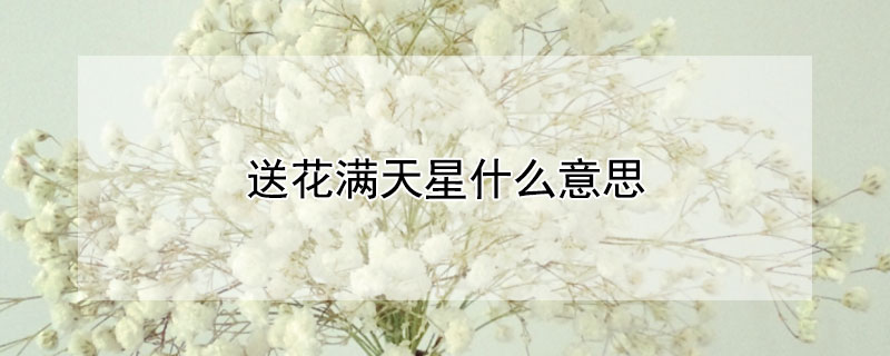 送花滿天星什么意思