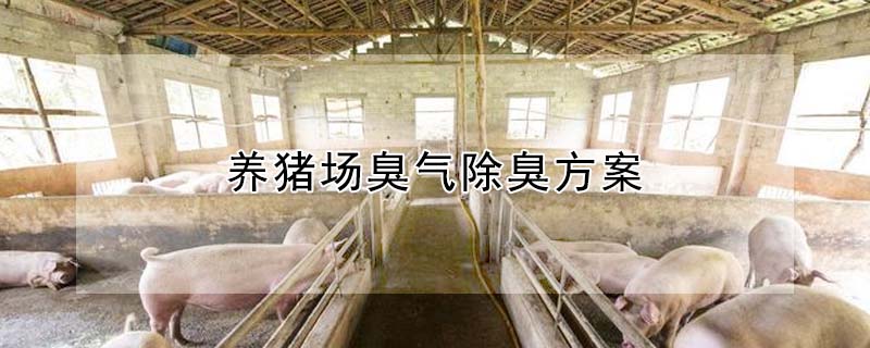 養豬場臭氣除臭方案