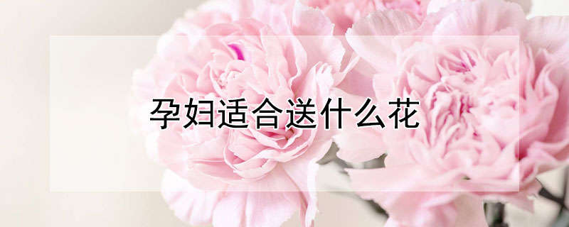 孕婦適合送什么花