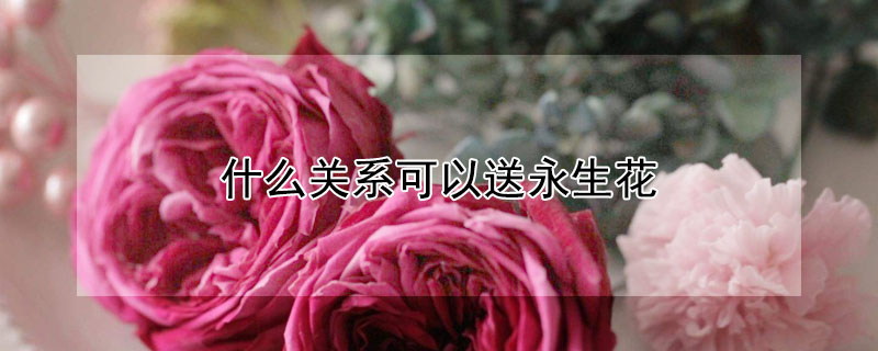 什么關(guān)系可以送永生花