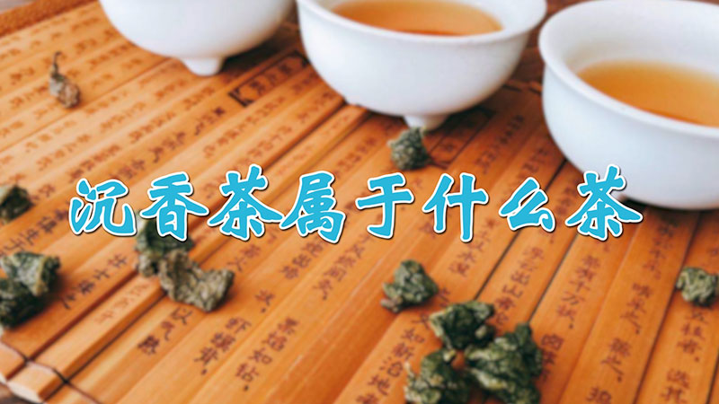 沉香茶屬于什么茶