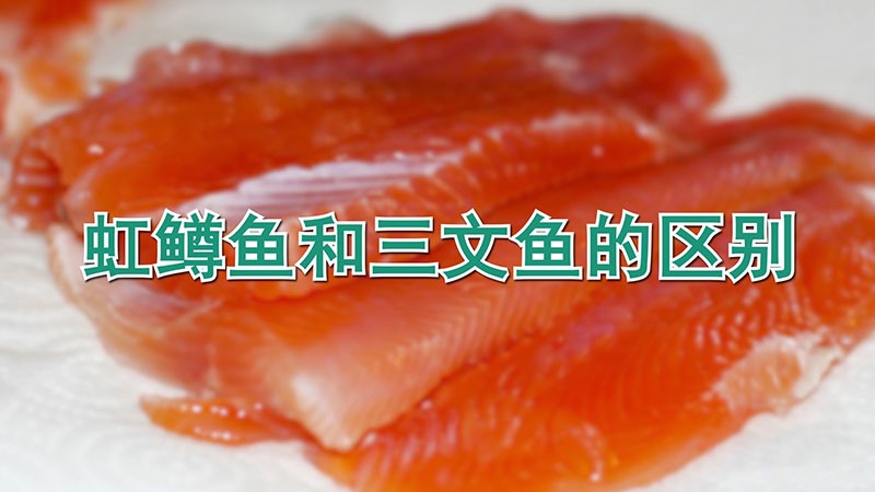 虹鱒魚和三文魚的區(qū)別