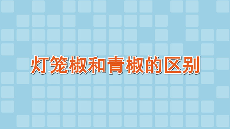 燈籠椒和青椒的區別