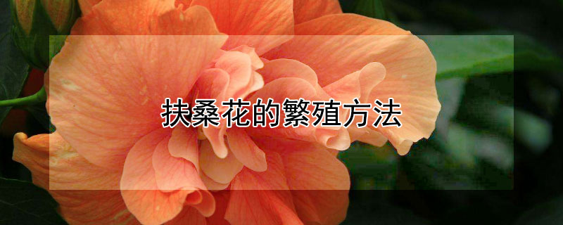 扶?；ǖ姆敝撤椒?></a></div>
                    </div>
                    <h3><a href=