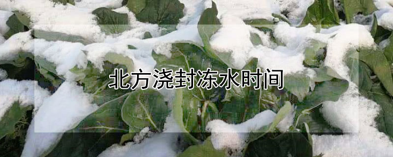 北方澆封凍水時間