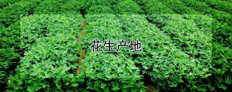 花生產(chǎn)地