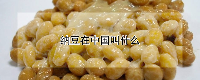 納豆在中國叫什么