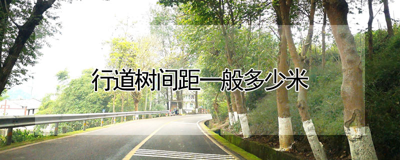 行道樹間距一般多少米