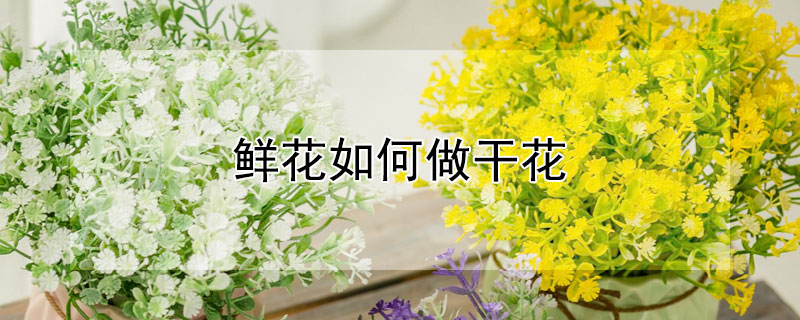 鮮花如何做干花