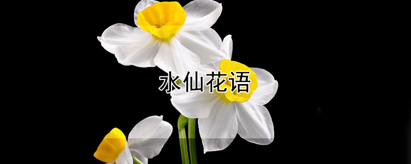 水仙花語(yǔ)