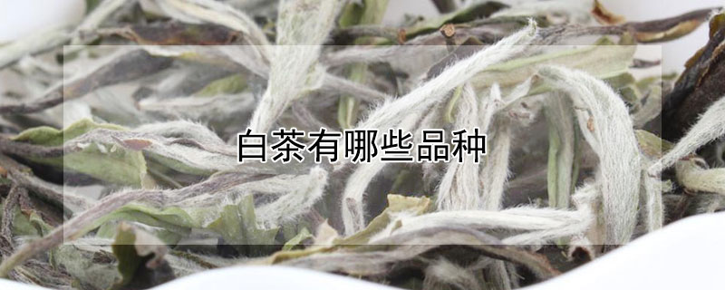 白茶有哪些品種