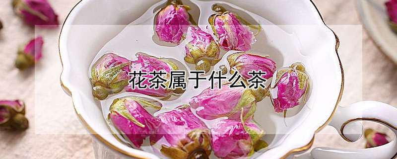 花茶屬于什么茶