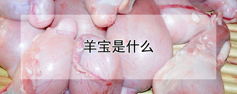 羊?qū)毷鞘裁?></a></div>
                    </div>
                    <h3><a href=