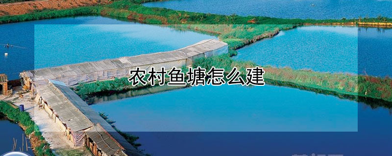 農村魚塘怎么建