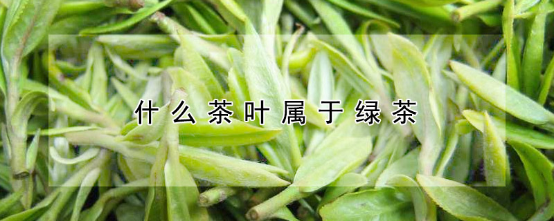 什么茶葉屬于綠茶