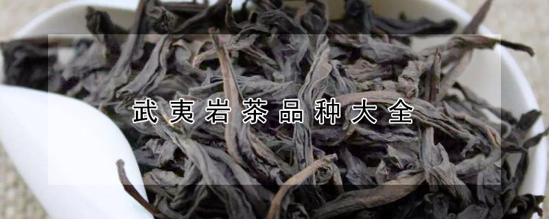 武夷巖茶品種大全