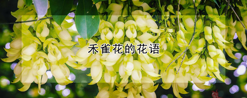 禾雀花的花語(yǔ)