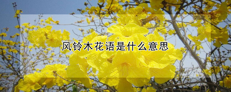 風鈴木花語是什么意思