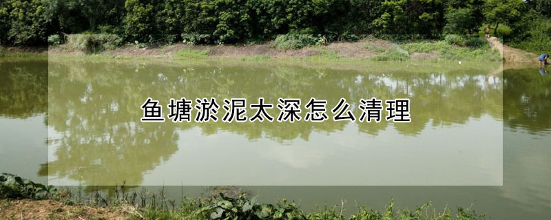 魚塘淤泥太深怎么清理