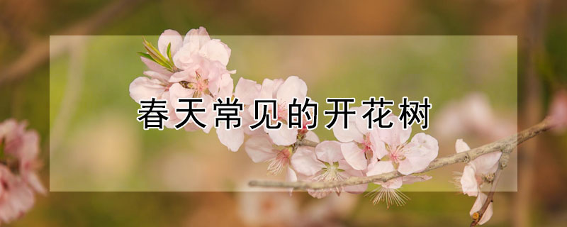 春天常見的開花樹