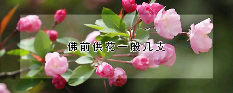 佛前供花一般幾支