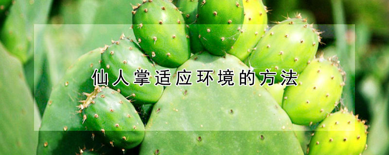 仙人掌適應環(huán)境的方法