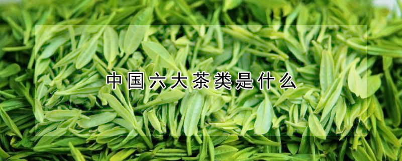 中國六大茶類是什么