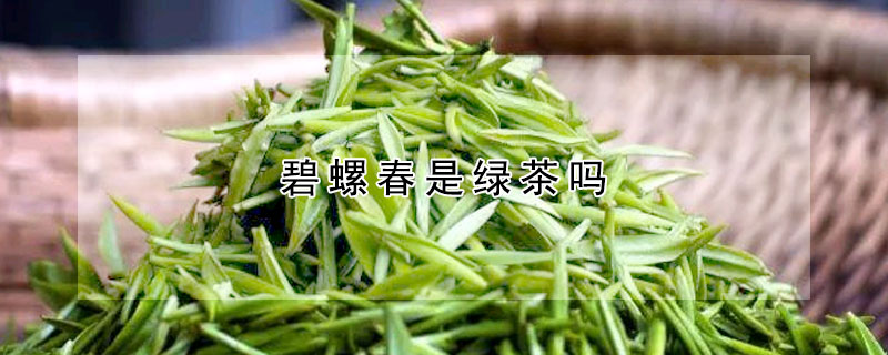 碧螺春是綠茶嗎