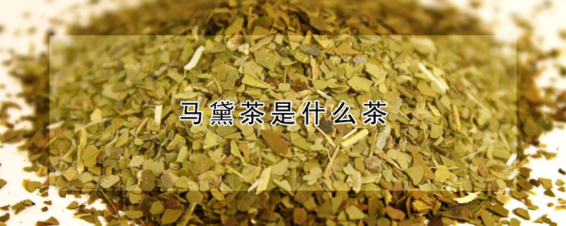 馬黛茶是什么茶