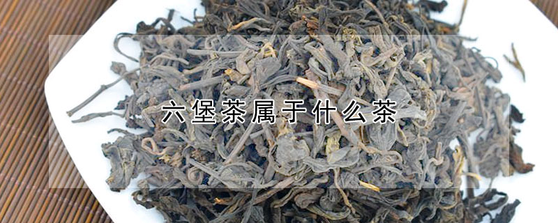 六堡茶屬于什么茶