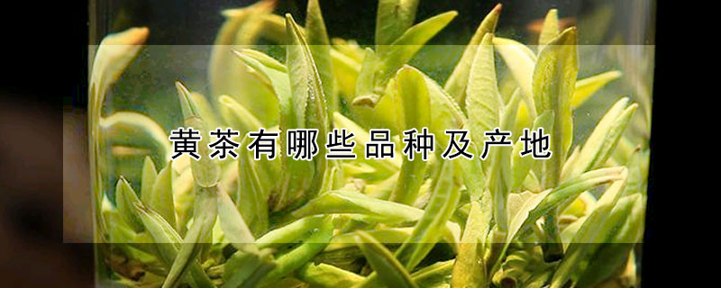 黃茶有哪些品種及產(chǎn)地