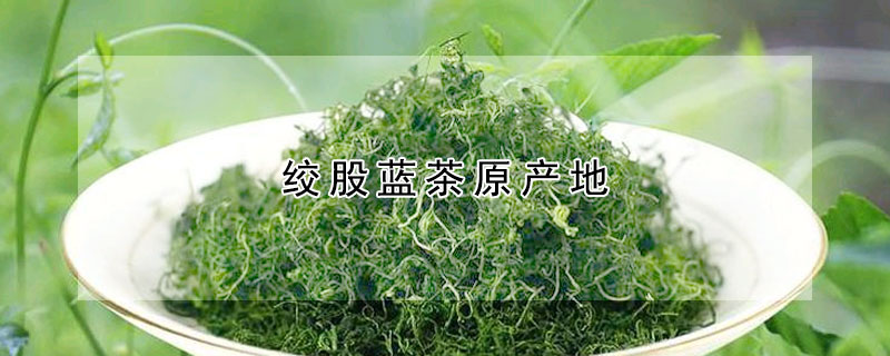 絞股藍茶原產地