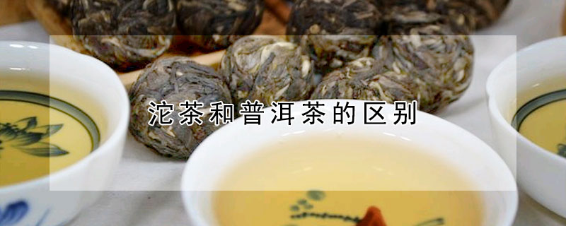 沱茶和普洱茶的區(qū)別