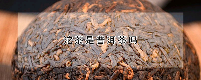 沱茶是普洱茶嗎