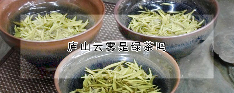 廬山云霧是綠茶嗎