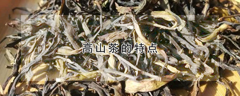 高山茶的特點(diǎn)