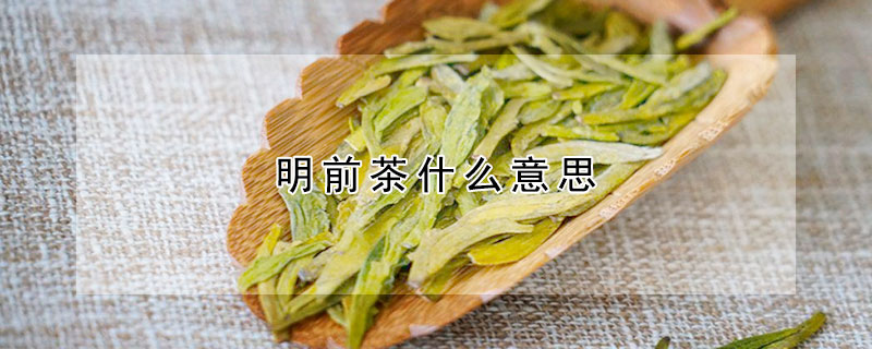 明前茶什么意思