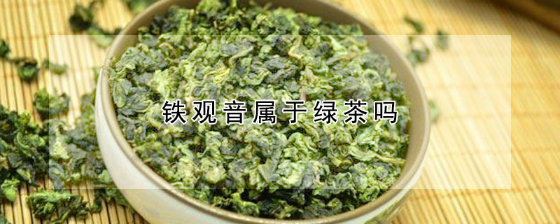 鐵觀音屬于綠茶嗎