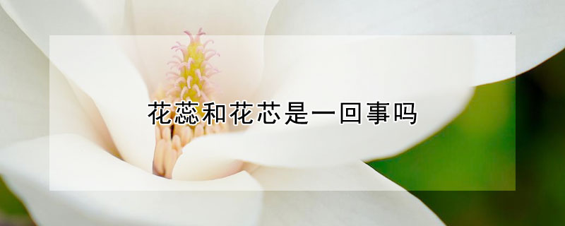 花蕊和花芯是一回事嗎