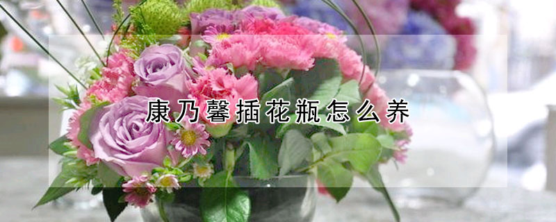 康乃馨插花瓶怎么養(yǎng)