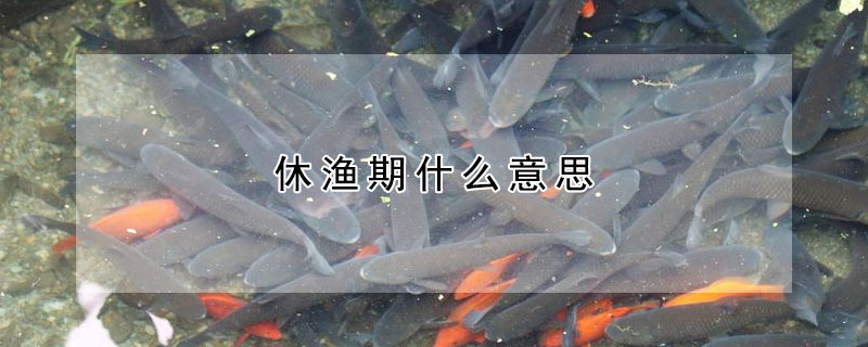 休漁期什么意思