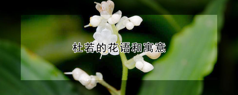 杜若的花語(yǔ)和寓意