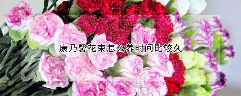 康乃馨花束怎么養(yǎng)時間比較久