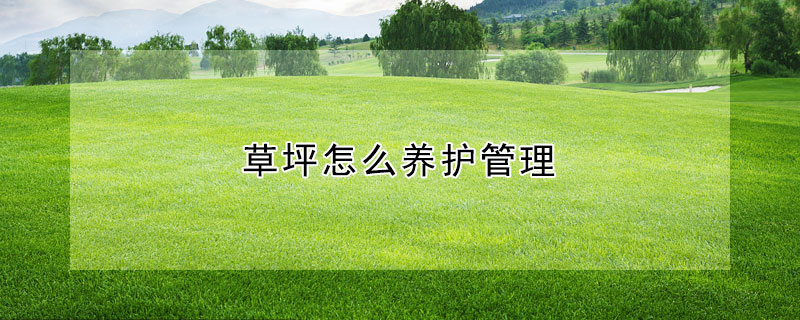 草坪怎么養(yǎng)護(hù)管理