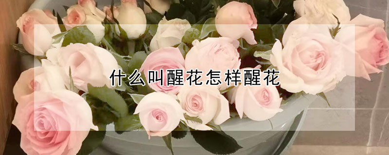 什么叫醒花怎樣醒花