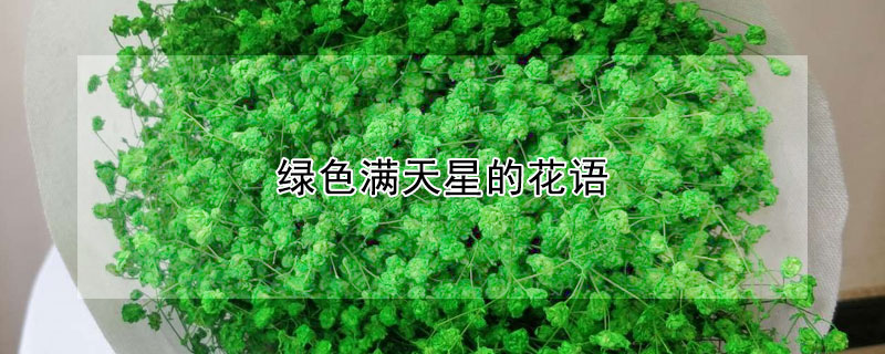 綠色滿天星的花語(yǔ)