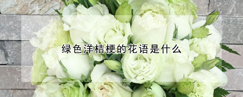 綠色洋桔梗的花語(yǔ)是什么