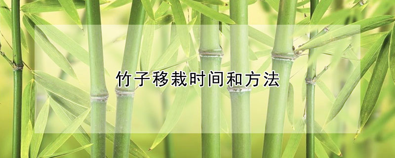 竹子移栽時間和方法